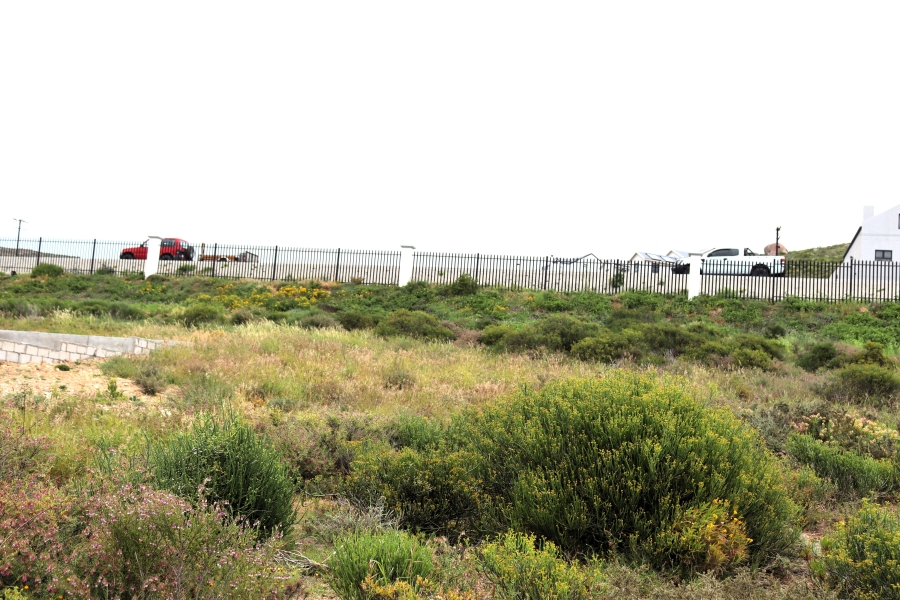 0 Bedroom Property for Sale in St Helena Views Western Cape